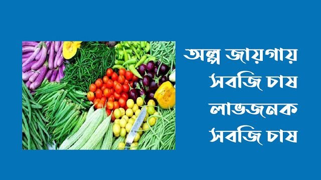 অল্প জায়গায় সবজি চাষ
