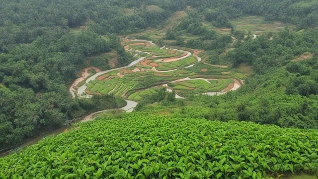 সিলেট কিসের জন্য বিখ্যাত
