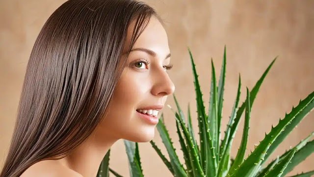 এলোভেরা চুলে ব্যবহারের নিয়ম