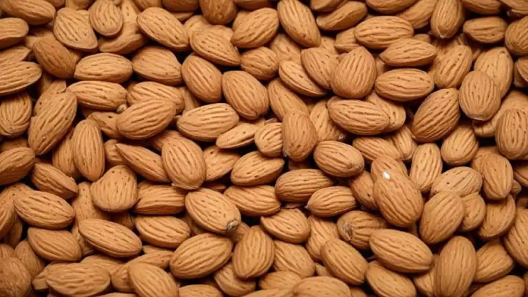 কাঠবাদাম খাওয়ার নিয়ম