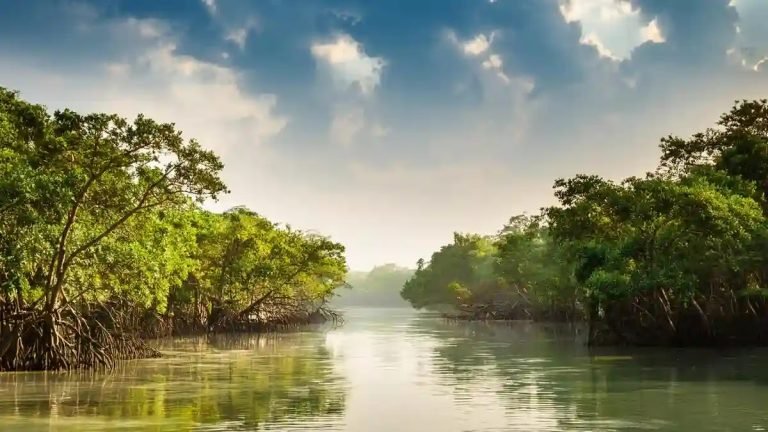 সুন্দরবন ভ্রমনের উপযুক্ত সময়