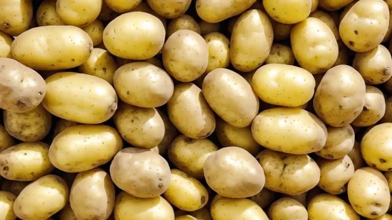 আলু খাওয়ার উপকারিতা ও অপকারিতা