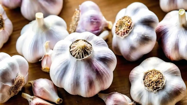 কাঁচা রসুন খাওয়ার উপকারিতা ও অপকারিতা
