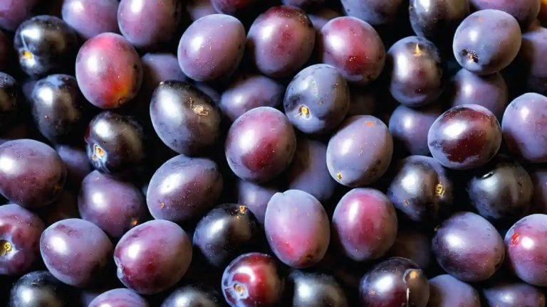 জাম খাওয়ার উপকারিতা ও অপকারিতা