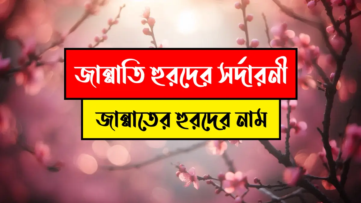 জান্নাতের হুরদের নাম