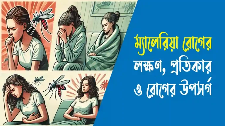 ম্যালেরিয়া রোগের লক্ষণ ও প্রতিকার
