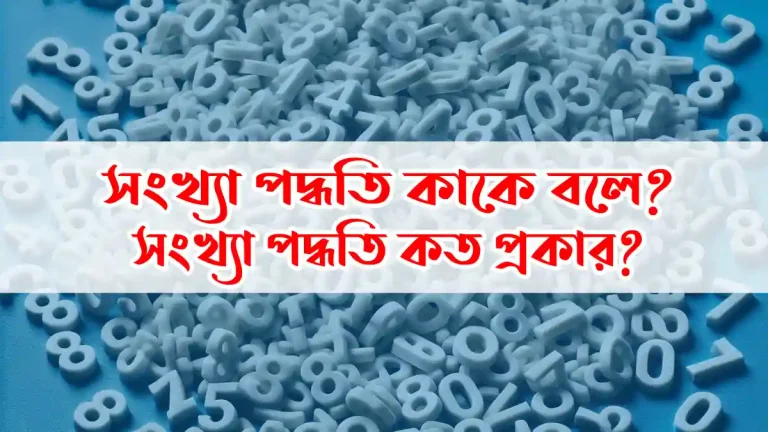 সংখ্যা পদ্ধতি কত প্রকার