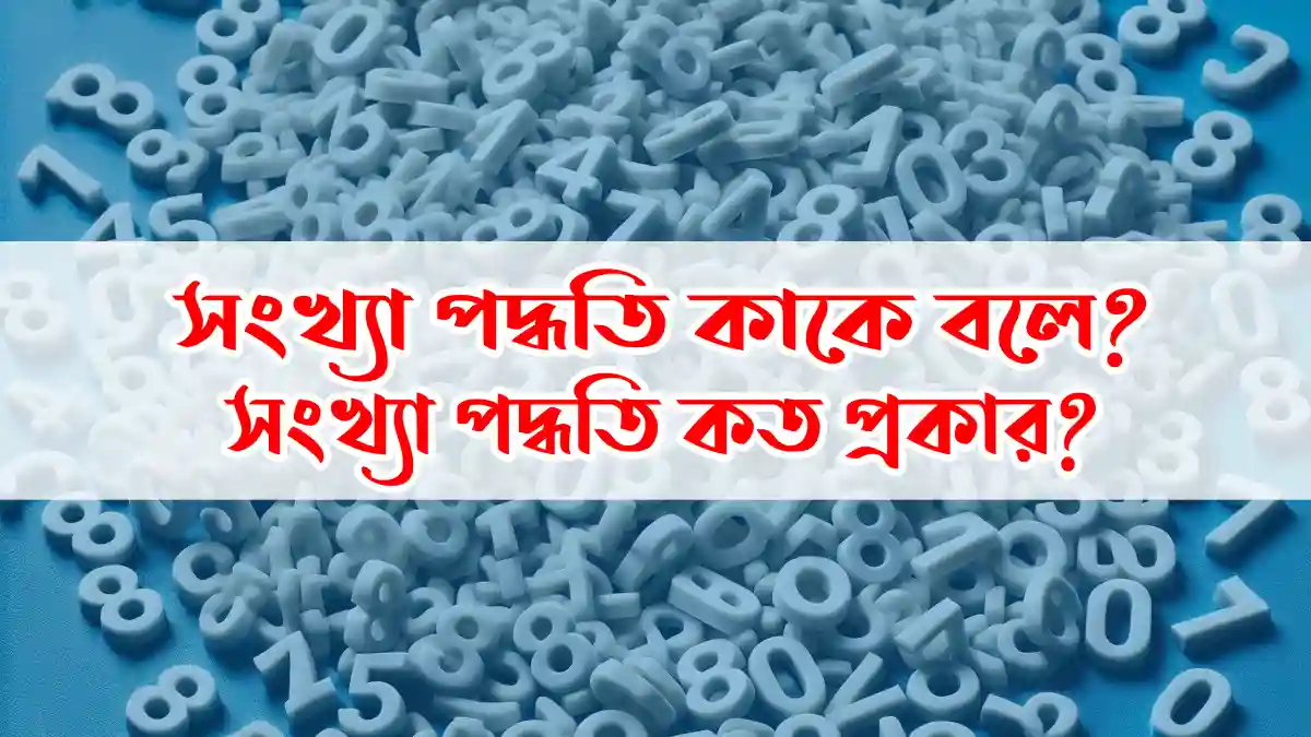 সংখ্যা পদ্ধতি কত প্রকার