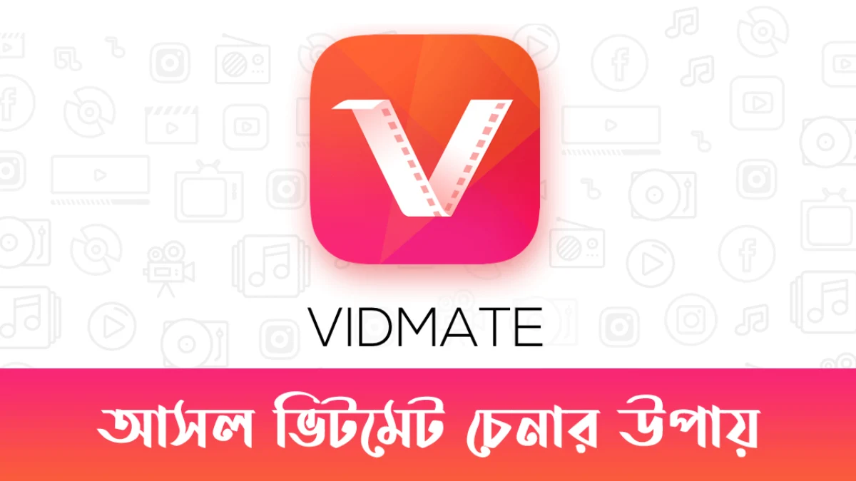 আসল ভিটমেট চেনার উপায়